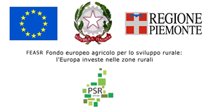Misure di prevenzione contro le valanghe nella fascia boschiva a monte della SP 232