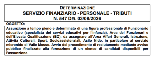 Avviso pubblico finalizzato alla formazione di un elenco di candidati disponibili per l'assunzione a tempo pieno e determinato della figura professionale di Funzionario educativo (specialista dei servizi educativi per l'infanzia) - Area dei Funzionari e dell'Elevata Qualificazione (EQ) da assegnare al servizio micronido di Valle Mosso